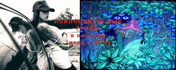 крисы Богданович