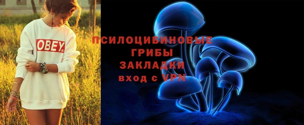 твердый Бронницы