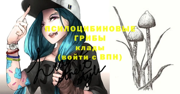 твердый Бронницы