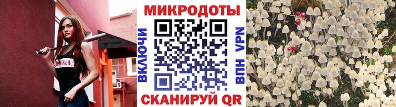 Псилоцибиновые грибы прущие грибы  Купить  Старица 